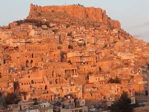 Dünya Mardin'deki birlikte yaşama kültürünü örnek almalı