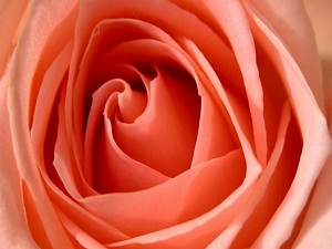 Ümmetim, içinden geçen fena şeylerle amel etmedikçe