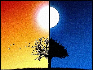 Biz geceyi ve gündüzü iki alâmet yaptık