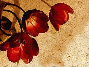 Nikahların en hayırlısı en kolay olanıdır