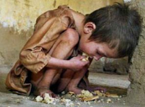 İHH 'nın 2012 Kasım ayına ait Gazze raporu yayınlandı.