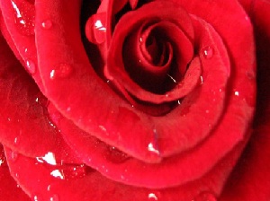 Dört kişinin öldükten sonra sevabı devam eder