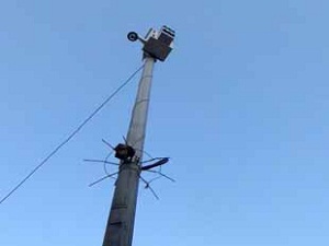 Cizre'de mobese direklerine koruma
