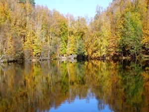 Batı Karadeniz'de sonbahar