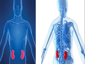 Türkiye'de her 6 kişiden biri böbrek hastası