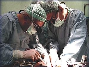 7 bin kişi organ bekliyor