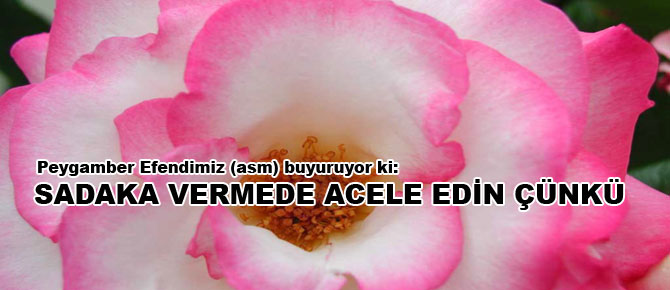 Sadaka vermede acele edin, çünkü