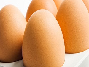 Yumurtada ihracat rekoru kırıldı