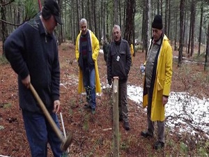 Ormanların kirlilik haritası çıkartılıyor!