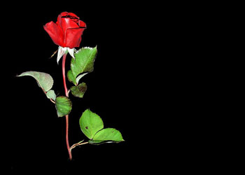 Hayra aracılık eden onu yapan gibidir