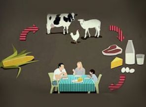 Etiketsizse yemezler!