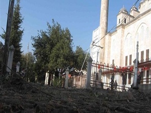 Fatih Camii'nden sökülen ağaçlar tekrar dikilecek