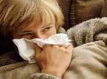 Gribe soğan kebabı