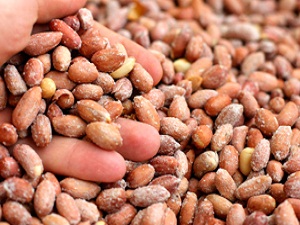 Türkiye'de İlk Defa Üretidi