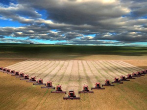 Çözüm süreci Doğu'da yüzleri güldürdü