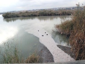 Mogan gölü'nü kirleten fabrikalara ceza