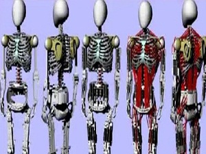 Kas ve İskelet Yapısı Tıpkı İnsan Gibi