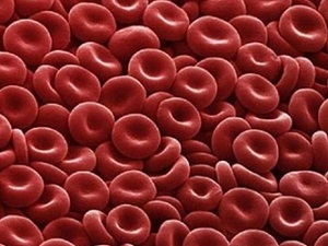 Kan grubu A ve B olanlar dikkat!