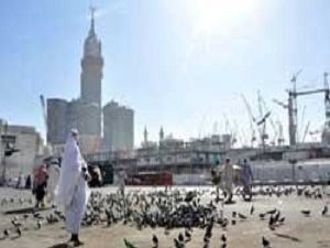 Hacıların çöplerini İBB toplayacak