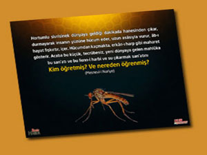 Risale-i Nur'dan vecizeli duvar kağıdı - [indir]