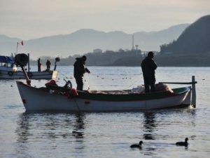 Karadeniz'deki canlı türleri yok oluyor