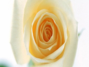 Ademoğlu ihtiyarladıkça onda iki şey gençleşir