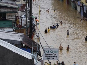 'Bopha' Tayfunu'nun Bilançosu Ağır
