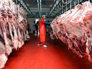 Standartlara uymayan kapatılacak