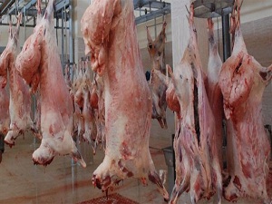 Eker'den et tesisleri için kapatın talimatı