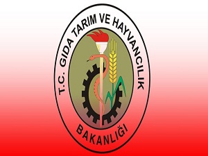 Bakanlık: Sakıncalı gıdalar cezaevlerine verilmiyor