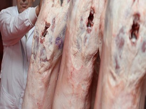 Kesimhane ve et işlemeleri için son tarih!