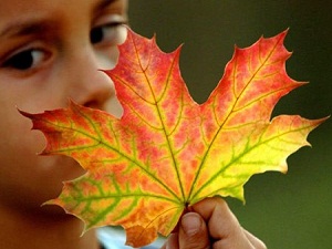 Yetimin malına en güzel şekilde yaklaşın