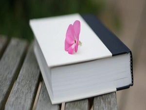 İlmi mevki-makam için öğrenmeyin