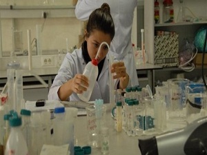 Türk bilim adamından 'Altın mıknatısı'