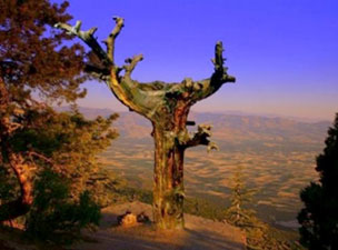 Bediüzzaman'ın tefekkür dünyasında dağlar