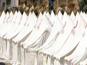 250 Suriyeli, Türkiye'ye sığındı