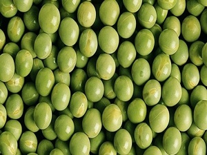 Bezelyenin faydaları saymakla bitmiyor