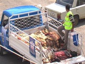 Kurbanın derisini satmak caiz değil