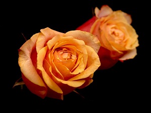 Kul hastalandığında Allah iki melek gönderir