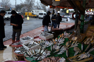 Soğuk hava balıkçıların yüzünü güldürdü