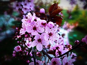 Yapılan iyiliğe böyle dersen mükemmel teşekkür olur