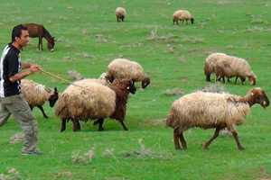 2 bin lira maaşlı iş var eleman yok