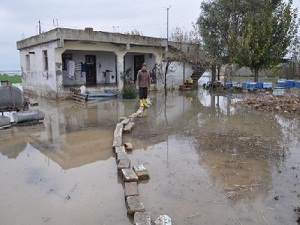 100 Bin Dekar Ekili Alan Su Altında Kaldı