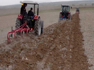 Tarım arazileri miras yoluyla bölünmeyecek
