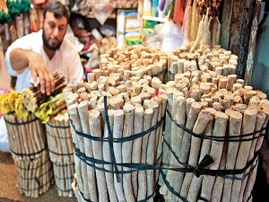 Misvağın makbulü taze ve yaş olanıdır