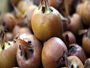 Kışın en iyisi muşmula