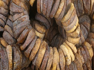 Tariş 4 bin ton incir alımı hedefliyor!