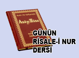 Hayvanlar zemin yüzünü bir zikirhaneye çevirmişler