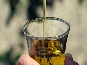 Omega asitlerince zenginleştirilmiş yağ üretti