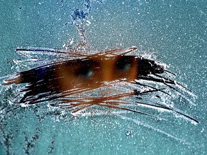 Soğuk havada cilt, zayıf ve savunmasız hale geliyor